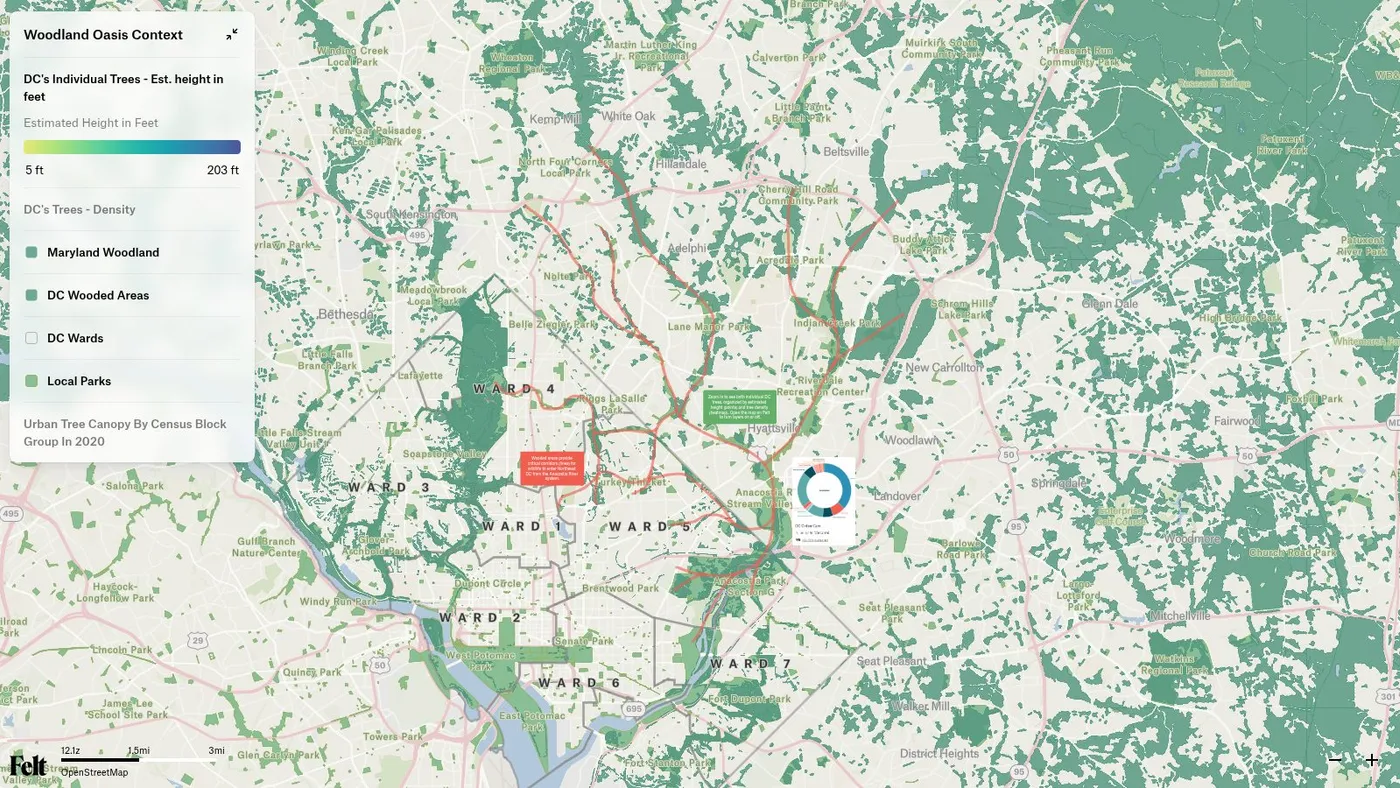 Felt Map: a still of the map