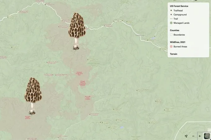 A Felt map of Pacific Northwest forest land with trailheads, campgrounds and 2021 wildfire burn areas marked by morel icons
