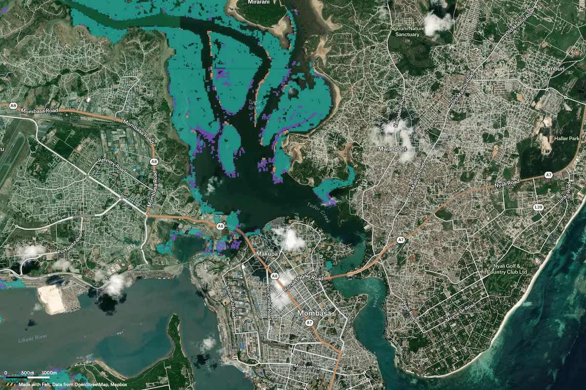 Preview of African Mangrove Population Study, an interactive Felt map
