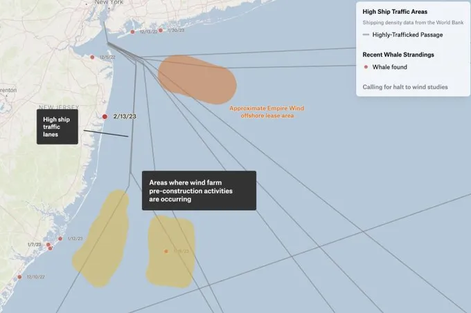 A Felt map of the New Jersey and New York coast showing whale strandings, ship traffic lanes and wind lease areas