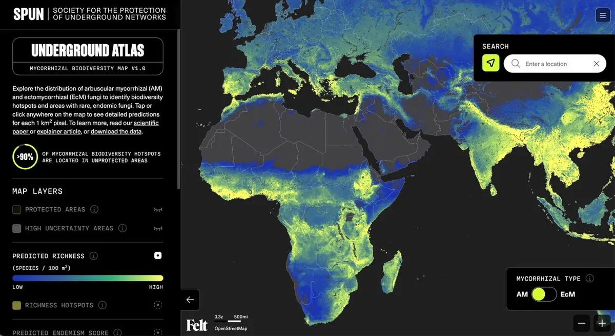 Use Felt's SDK and APIs to build native applications.