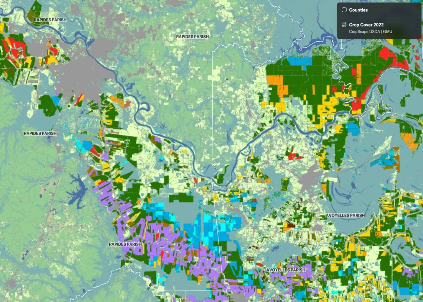 A Felt map of USDA CropScape 2022 crop cover across Rapides and Avoyelles parishes, Louisiana, with each crop type in its own color