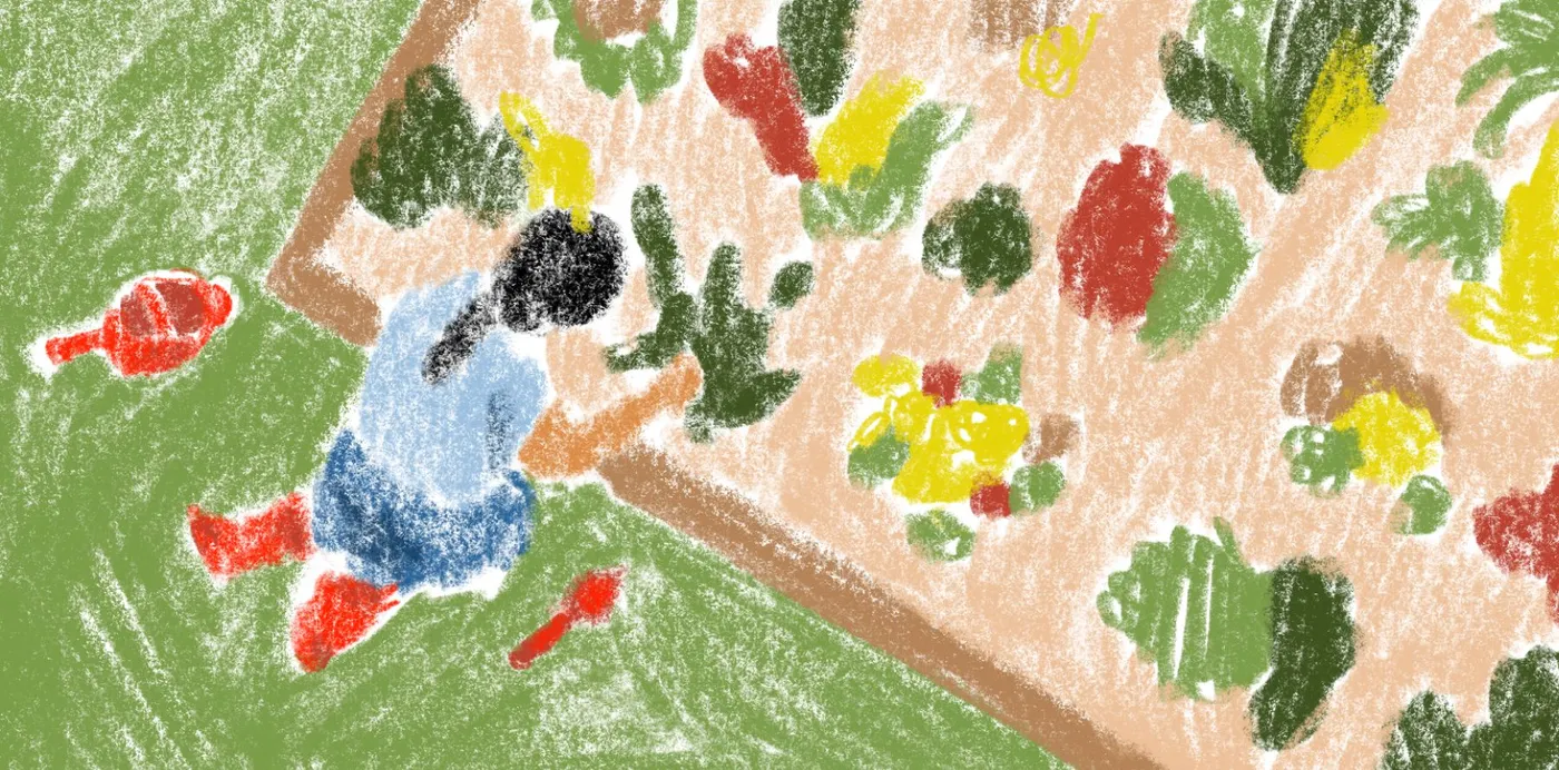 A crayon-style illustration seen from above of a person tending a vegetable garden bed beside a watering can and trowel