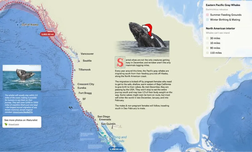 A map of the gray whale migration route down the Pacific coast over ocean bathymetry, with the land muted