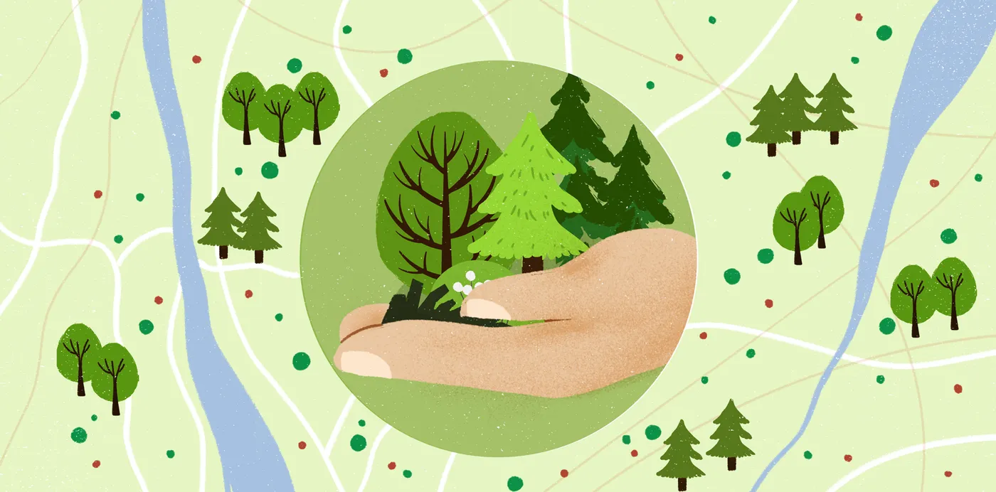 An illustration of a hand holding a cluster of trees above a stylized map of forests and rivers