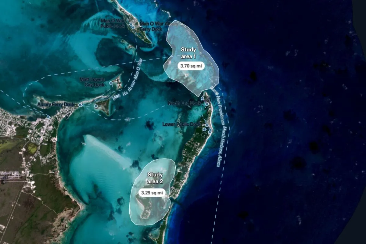 Preview of Planet Imagery Study Area, an interactive Felt map